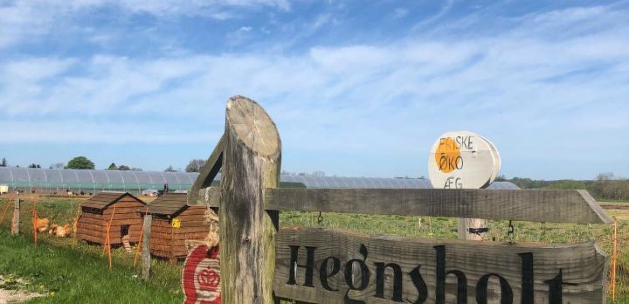 Hegnsholt