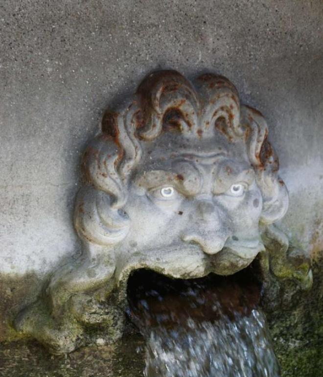 Maglekilde i Roskilde