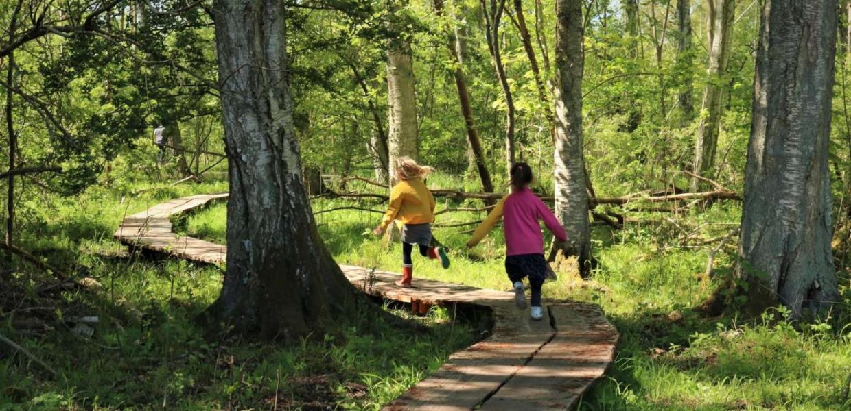 Børn løber på spang gennem rørmosen