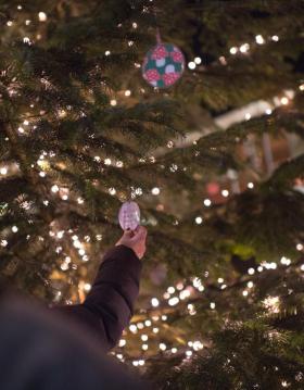 Juletræ I frederikssund