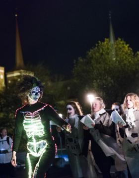 Lysfest museum smatidskunst