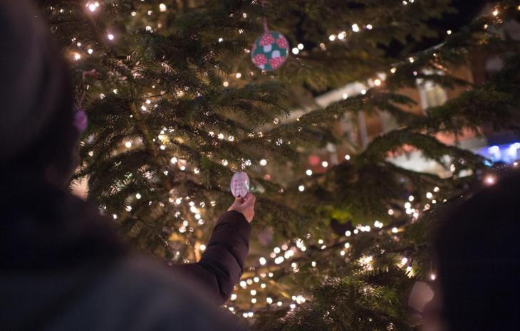Juletræ I frederikssund